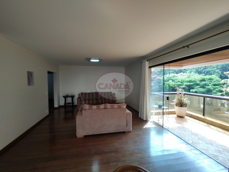 Aliança Imóveis - Imobiliária em Ribeirão Preto - SP - APARTAMENTO - CENTRO - RIBEIRAO PRETO